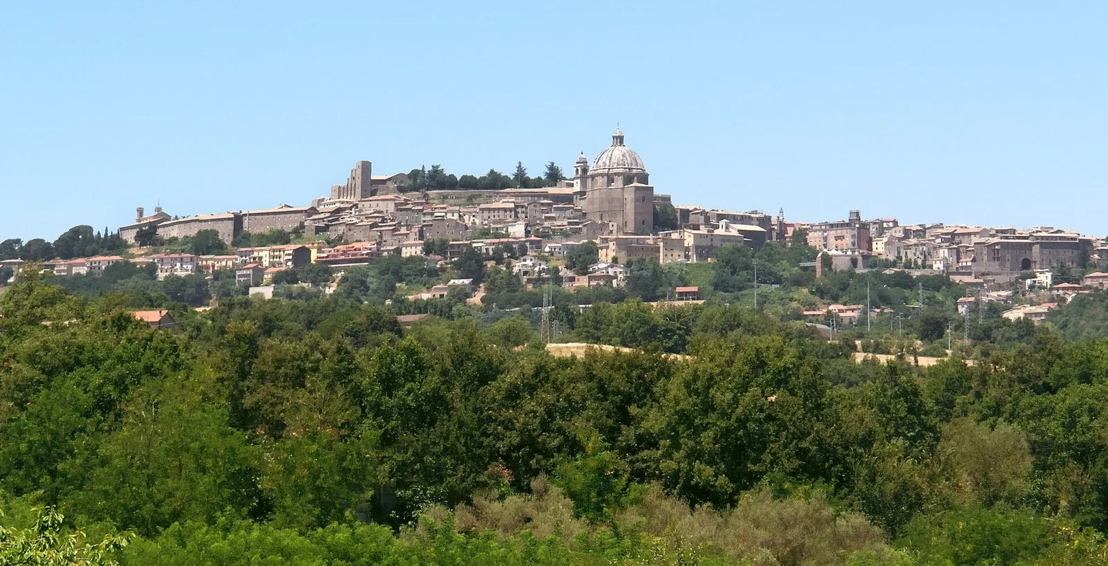 Panorama di Montefiascone sulla collina, con la cupola della cattedrale e la rocca sopra i boschi