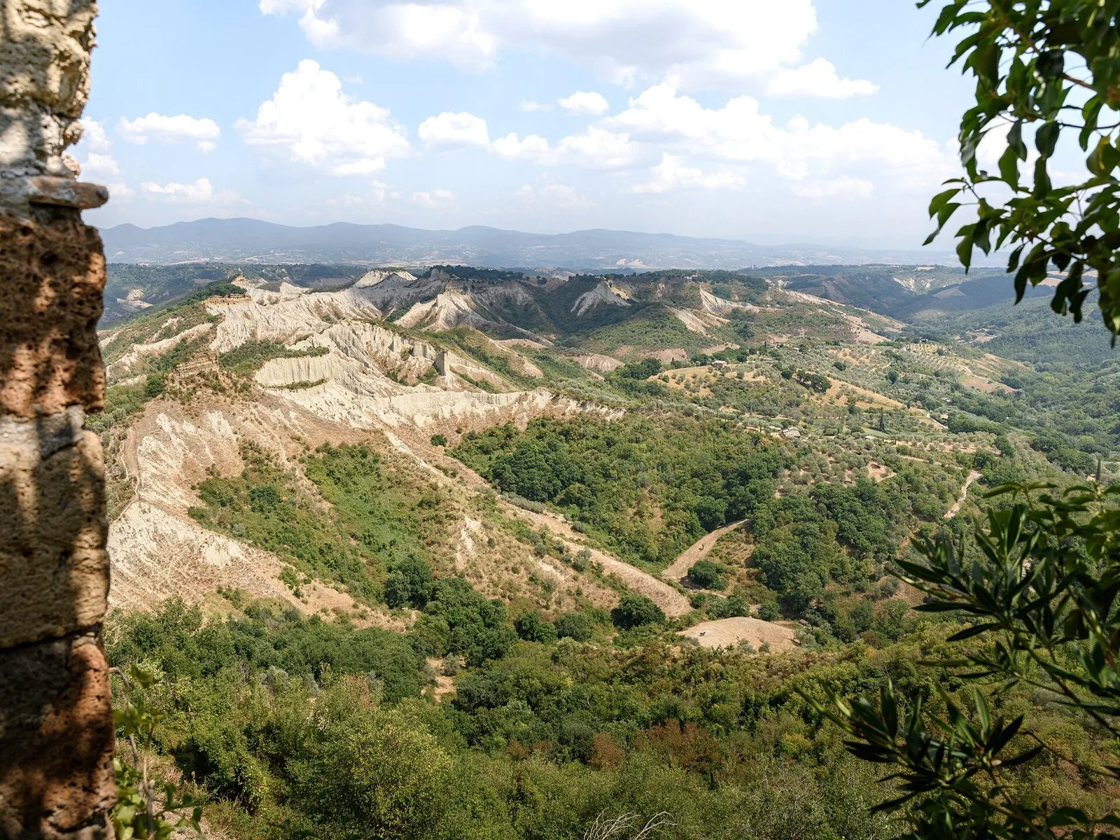Creste di argilla chiara della Valle dei Calanchi tra boschi e uliveti, vista da Civita di Bagnoregio